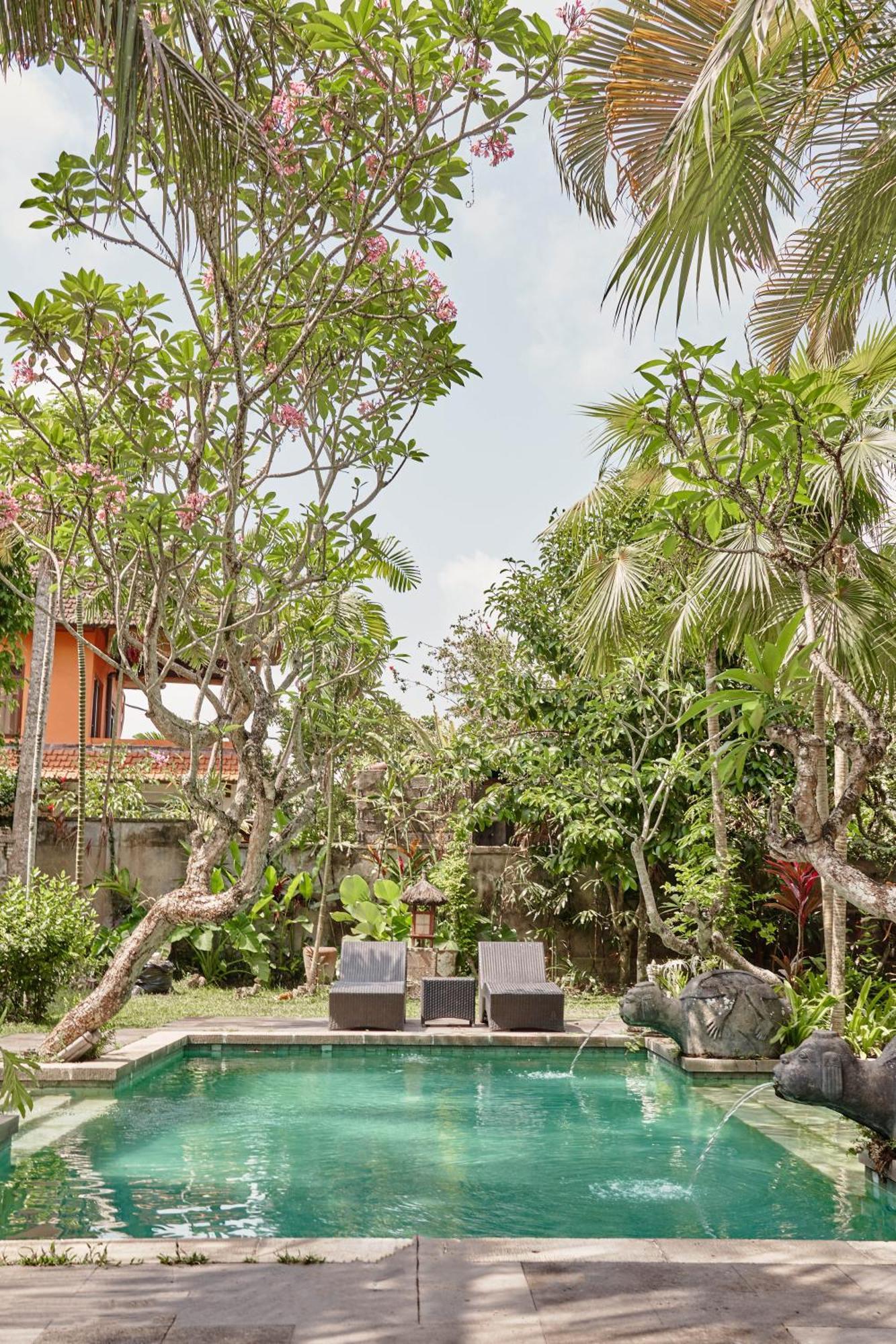 Soca 1 Ubud