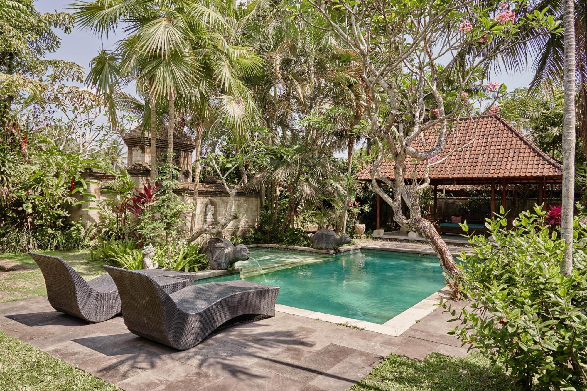 Soca 1 Ubud